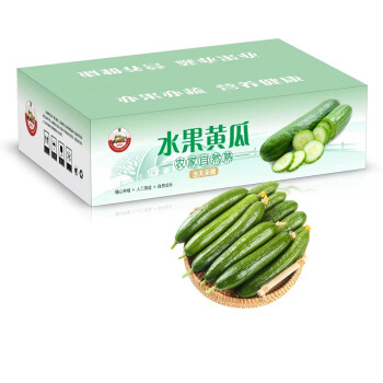 水果小黃瓜5斤裝